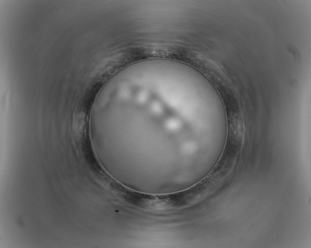 X0000113780511200910071226