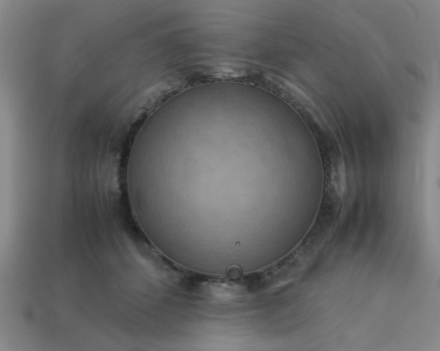 X0000113780512200910071226