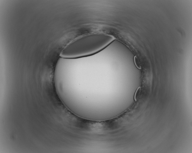 X0000113780513200910071226