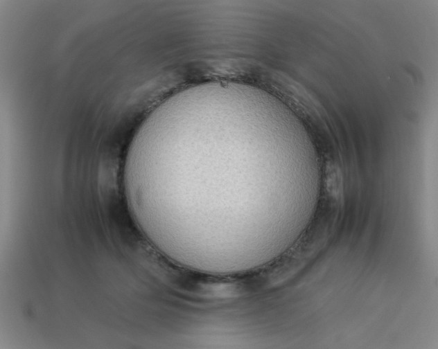 X0000113780514200910071226