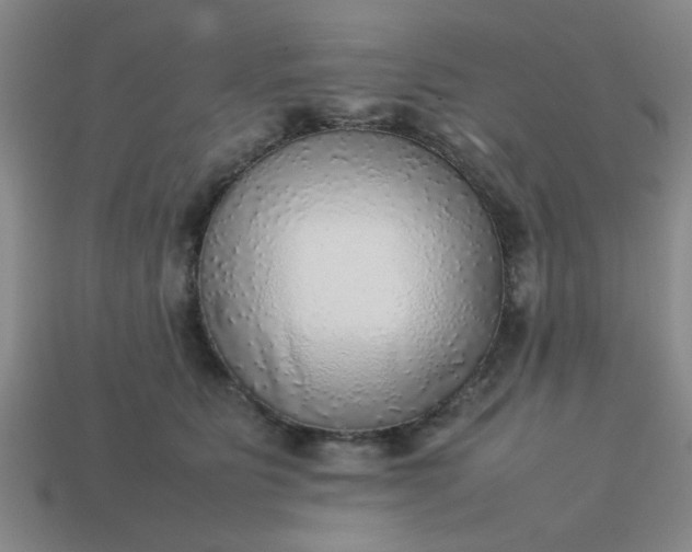 X0000113780515200910071226