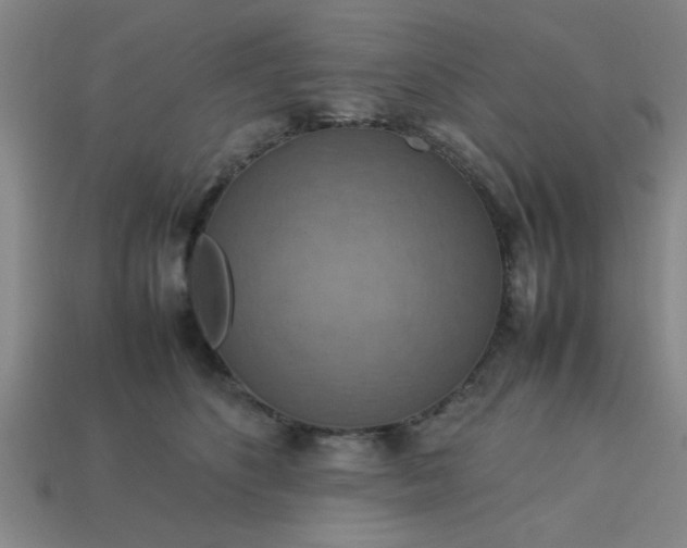 X0000113780516200910071226