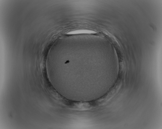 X0000113780517200910071226