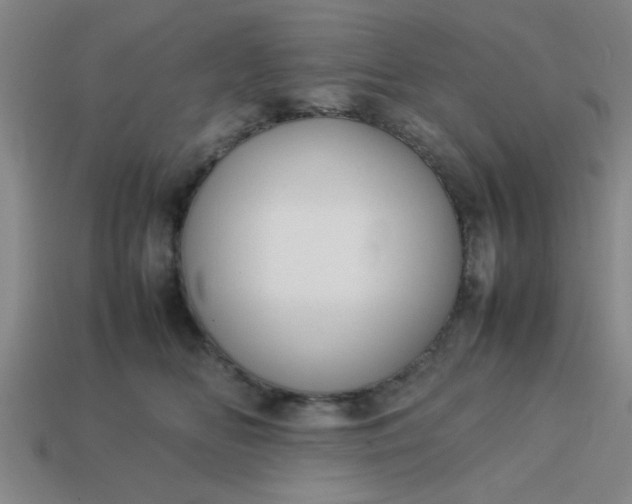 X0000113780518200910071226