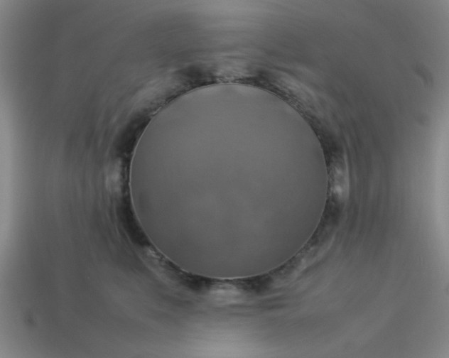 X0000113780519200910071226