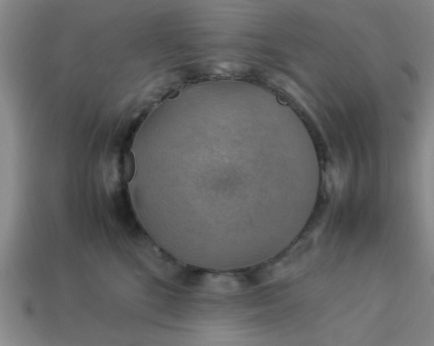 X0000113780520200910071226