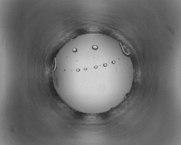 X0000113780521200910071226