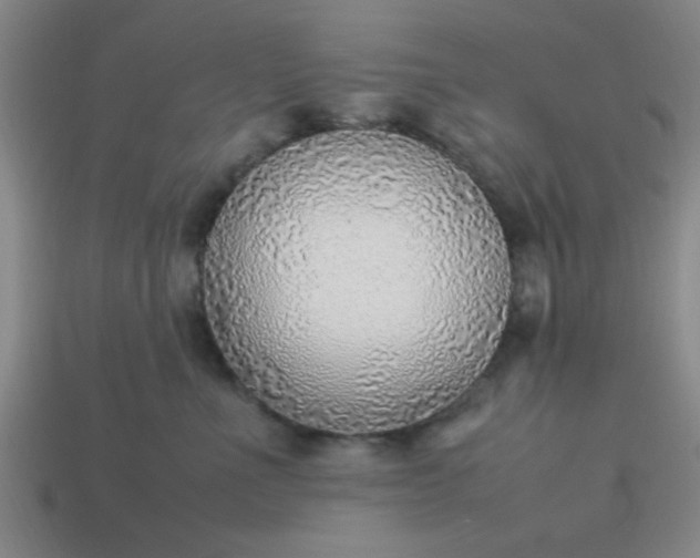 X0000113780523200910071226