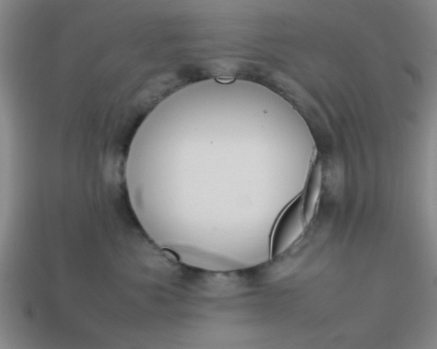 X0000113780525200910071226