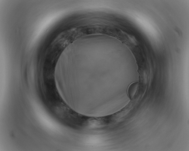 X0000113780526200910071226