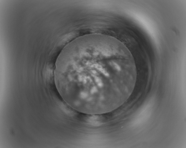 X0000113780527200910071226