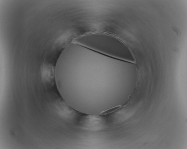 X0000113780528200910071226