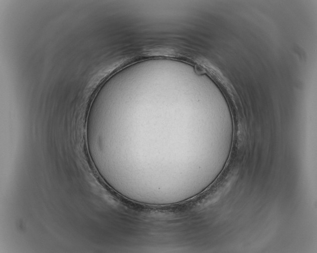 X0000113780529200910071226