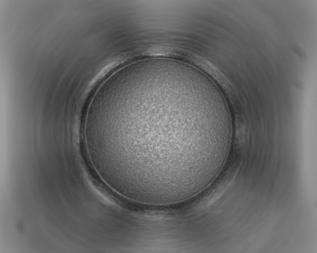 X0000113780530200910071226