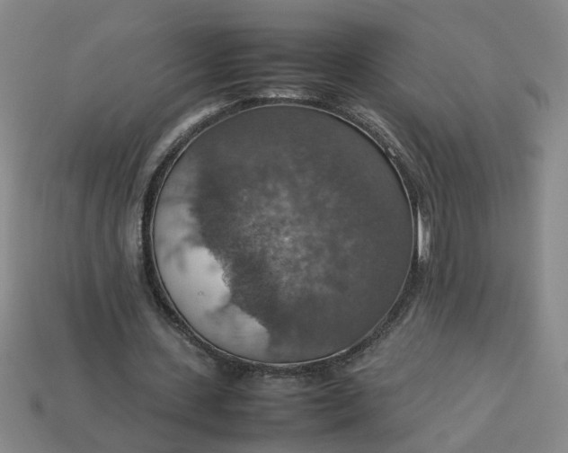 X0000113780531200910071226