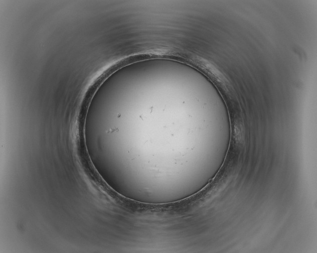 X0000113780532200910071226