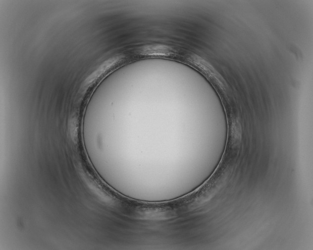 X0000113780533200910071226