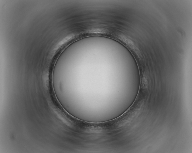 X0000113780535200910071226