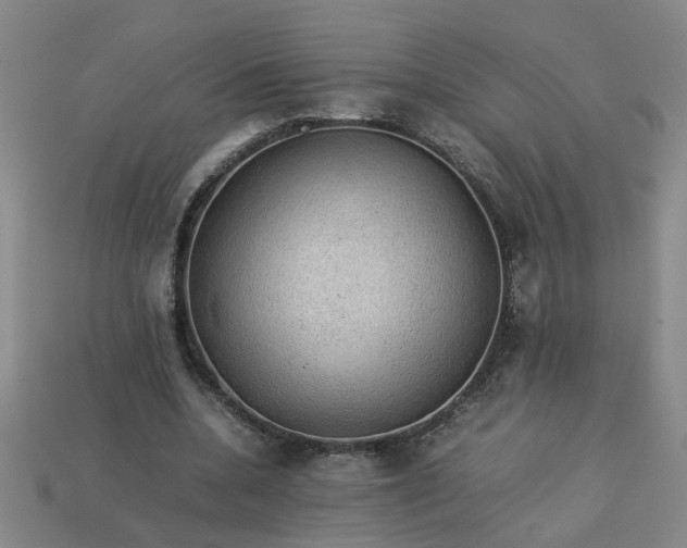 X0000113780536200910071226