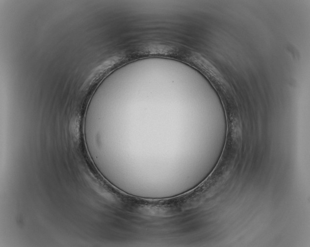 X0000113780537200910071226