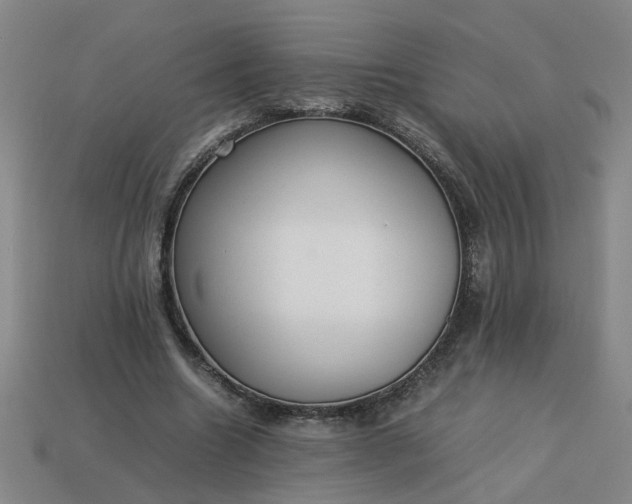 X0000113780538200910071226