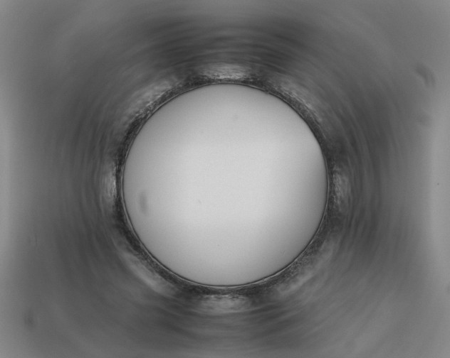 X0000113780541200910071226