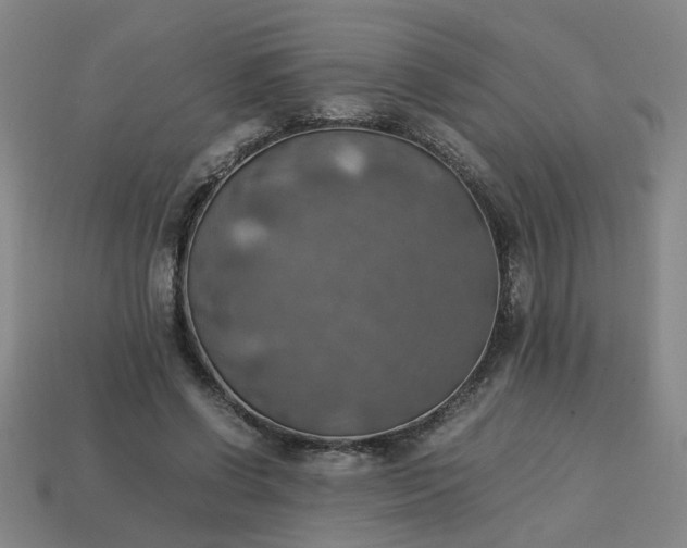 X0000113780542200910071226