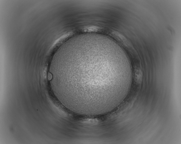 X0000113780543200910071226