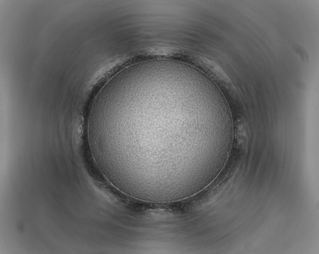 X0000113780544200910071226