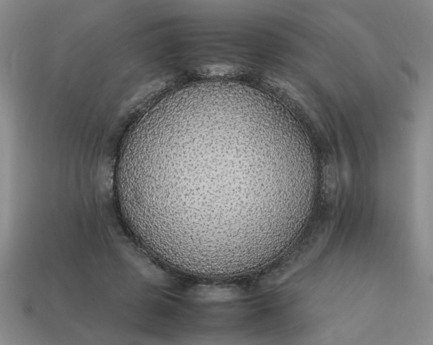 X0000113780545200910071226