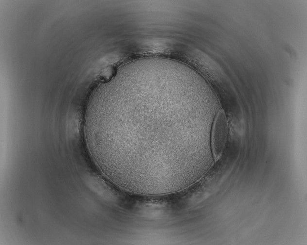 X0000113780546200910071226