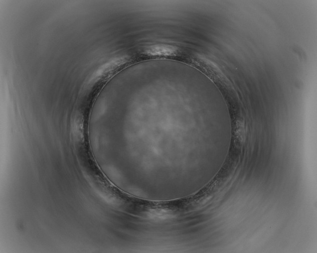 X0000113780547200910071226