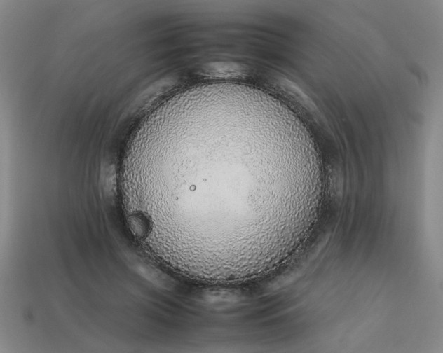 X0000113780549200910071226