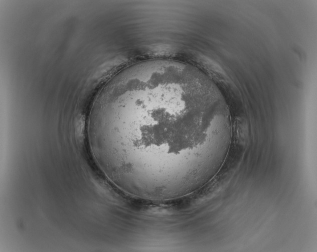 X0000113780550200910071226