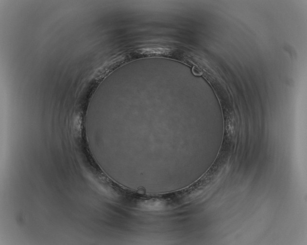 X0000113780551200910071226