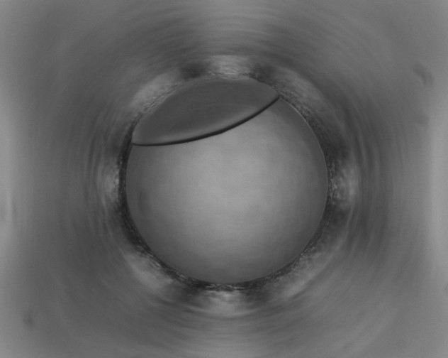 X0000113780552200910071226