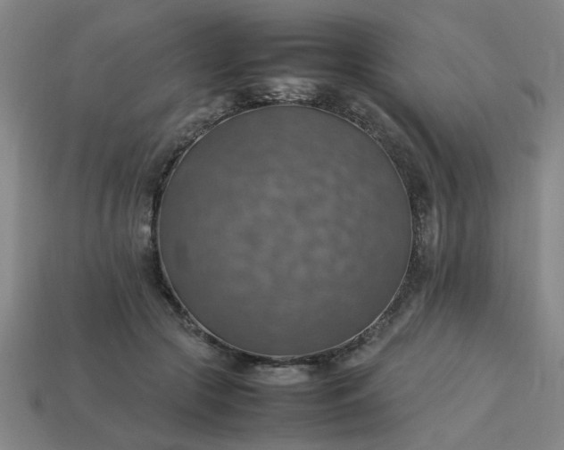 X0000113780553200910071226