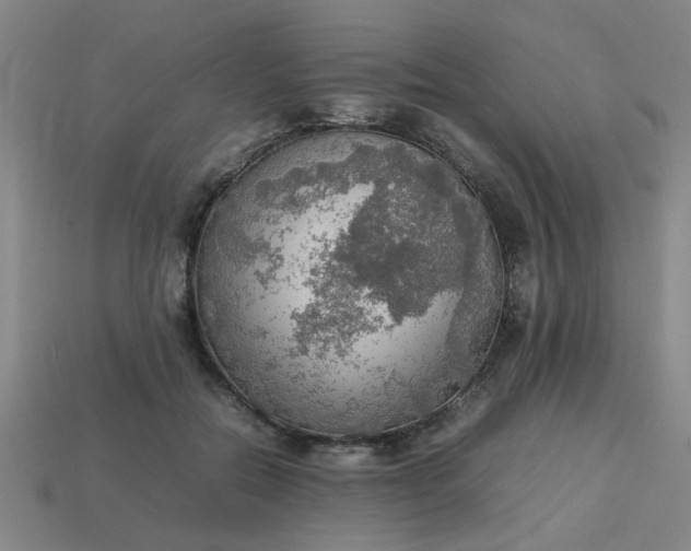 X0000113780554200910071226