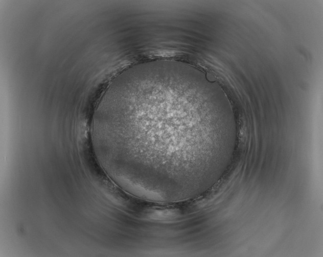 X0000113780555200910071226