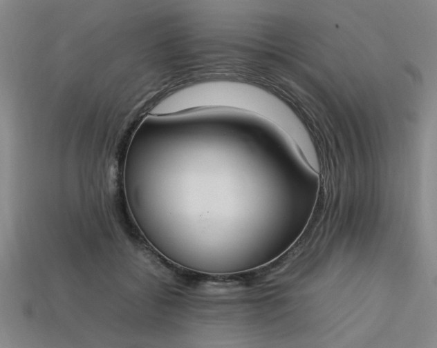 X0000113780556200910071226