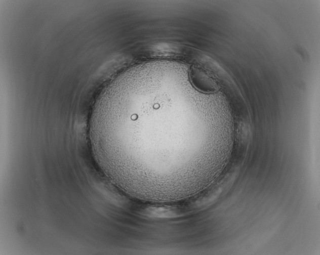 X0000113780557200910071226