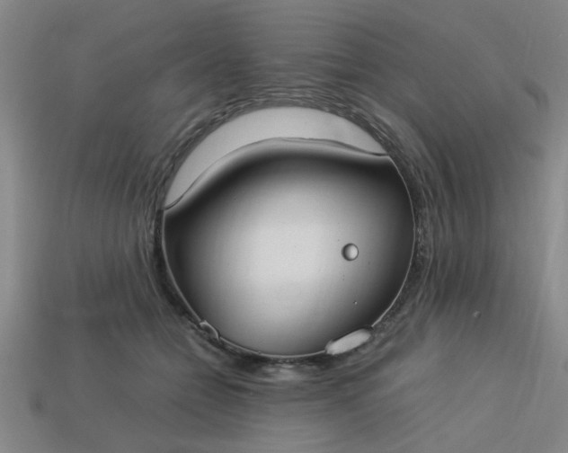 X0000113780558200910071226