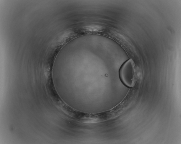 X0000113780559200910071226