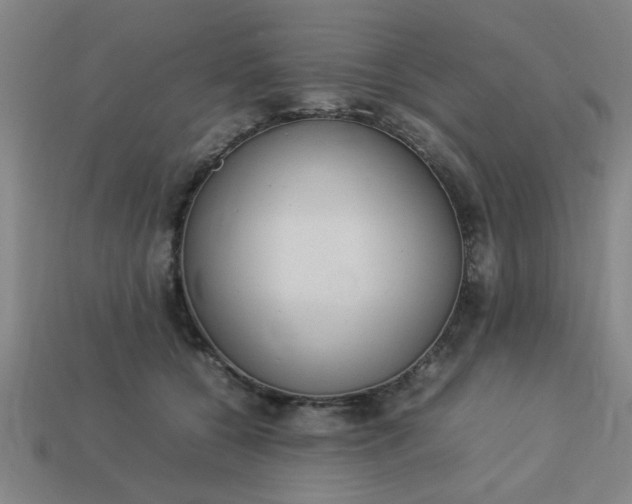 X0000113780560200910071226