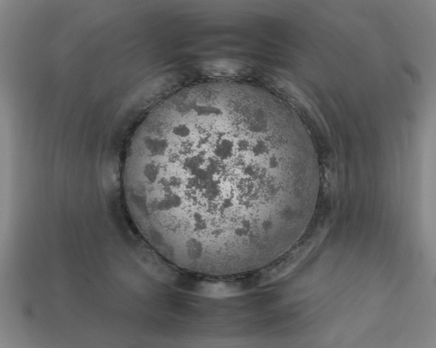 X0000113780561200910071226