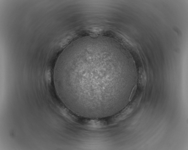 X0000113780562200910071226