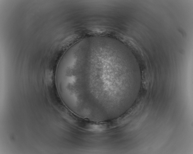 X0000113780563200910071226