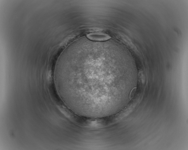 X0000113780564200910071226