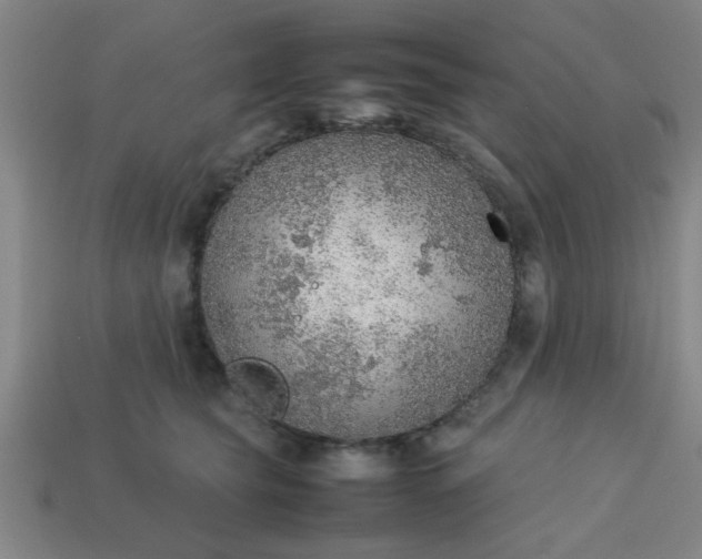 X0000113780565200910071226