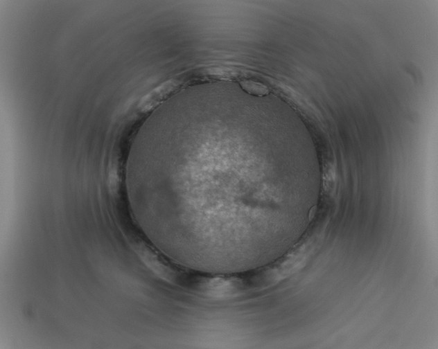 X0000113780566200910071226